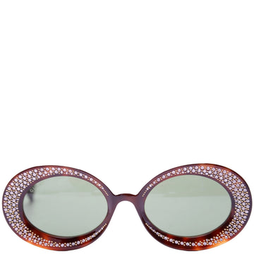 Gucci CSS Crystal Oval Acetate Sunglasses