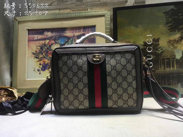 Gucci Luxury Fashion Bag