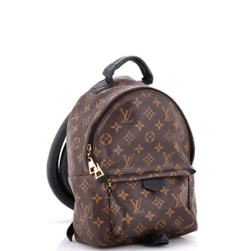 Louis Vuitton Palm Springs Backpack Monogram Canvas PM