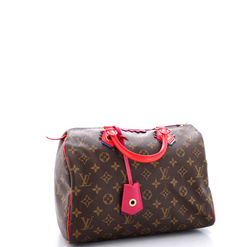 Louis Vuitton Speedy Handbag Limited Edition Totem Monogram Canvas 30
