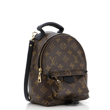 Louis Vuitton Palm Springs Backpack Monogram Canvas Mini