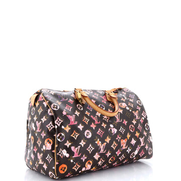 Louis Vuitton Speedy Handbag Monogram Watercolor Aquarelle 35