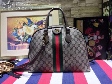 Gucci Luxury Fashion Bag