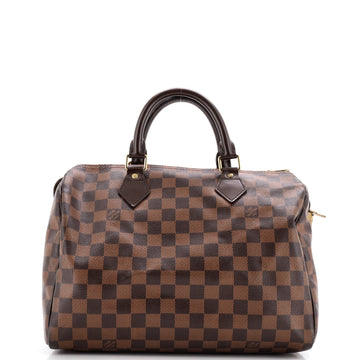 Speedy Handbag Damier 30