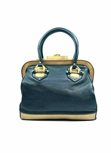 ZAC POSEN Green, Gold Leather Solid Handbag