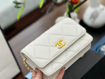 Designer bags by Chanel 334