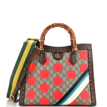 Diana NM Bamboo Handle Tote Printed EC Coated Canvas and Studded Leather Medium
