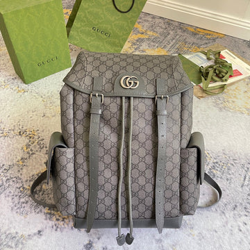 Gucci Luxury Fashion Bag