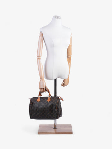 Louis Vuitton Speedy Monogram 30