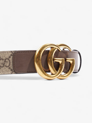 Gucci EC Marmont Thin Belt EC Supreme / Brown Leather 75cm / 30"