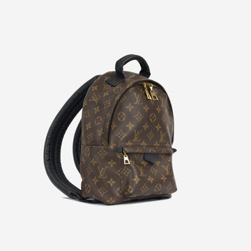 Louis Vuitton Palm Springs Backpack PM