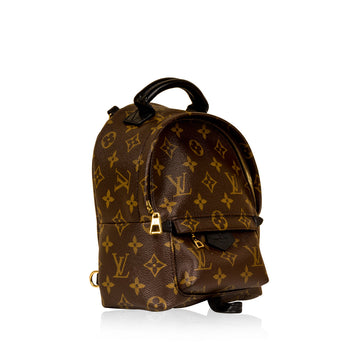 Louis Vuitton Palm Springs Backpack Mini