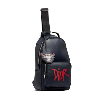 Dior x Shawn Stussy Year of the Ox Sling