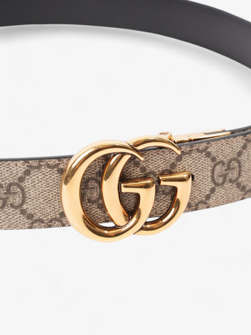 Gucci EC Marmont Reversible Belt EC Supreme / Black / Gold Canvas 90cm / 36"