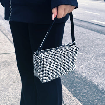 Alexander Wang Crystal Mesh Pouch Bag