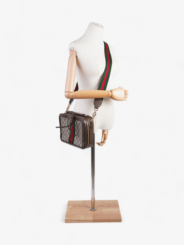 Gucci Ophelia EC Supreme / Brown Coated Canvas Small
