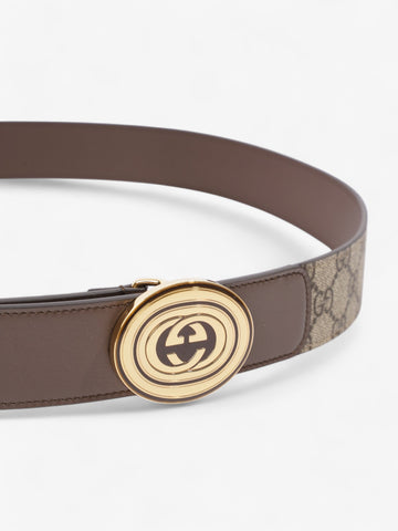 Gucci CS Belt CS Supreme / Brown / Gold Canvas 110cm / 44"