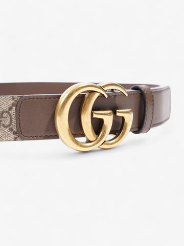 Gucci EC Marmont Belt Gold / EC Supreme Canvas 80cm / 32"