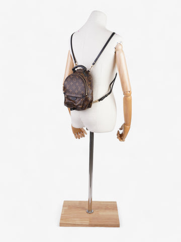 Louis Vuitton Palm Springs Monogram Coated Canvas Mini