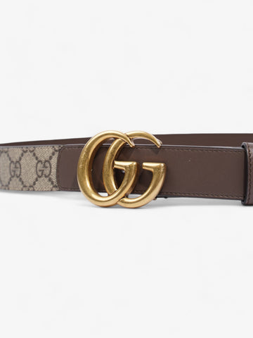 Gucci EC Marmont Belt EC Supreme / Brown / Gold Canvas 85cm / 34"