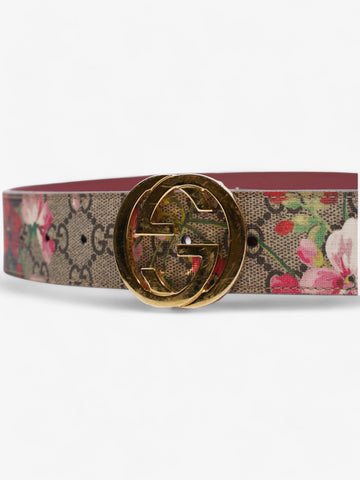 Gucci Interlocking G Belt CS Bloom / CS Supreme Canvas 75cm / 30"