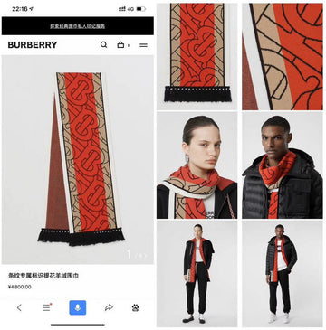 EC - BOR Scarf - 190