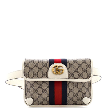Ophidia Flap Belt Bag EC Coated Canvas