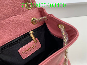 EC - CHL Bags - 1161
