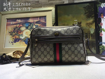 Gucci Luxury Fashion Bag