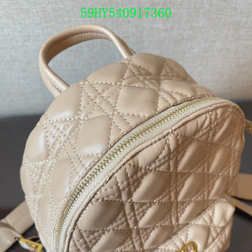 Christian Dior Luxury - The Tote   729