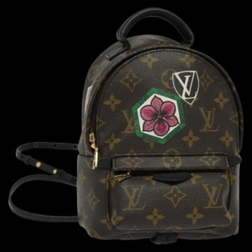 Brown Canvas Louis Vuitton Palm Springs