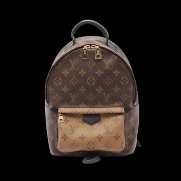 Brown Canvas Louis Vuitton Palm Springs