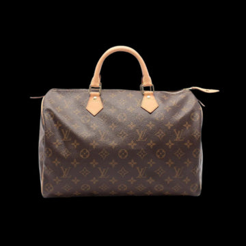 Brown Canvas Louis Vuitton Speedy