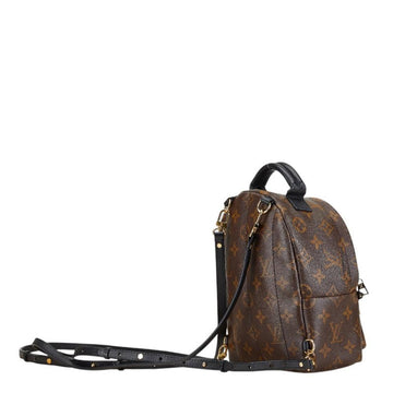 Brown Canvas Louis Vuitton Palm Springs